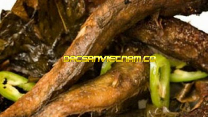 Cá lác ngoách vùng biển Kim Sơn