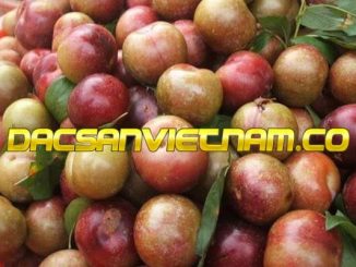 Đặc sản Sơn La: Khám phá 5 mỹ vị đại ngàn Tây Bắc 1
